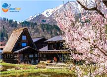 Du Lịch Nhật Bản Mùa Hoa Anh Đào 2025 - Làng cổ tích Shirakawa-go